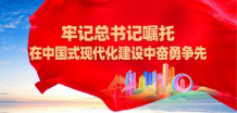 各级各部门要准确理解和深刻把握习近平总书记对福建...
